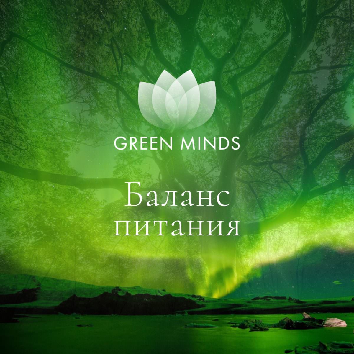 Нейромедитация GREEN MINDS «Баланс питания» по цене 460 руб. - купить в  Костомукше ☛ Доставка ★ Интернет-магазин «EcoGreenDom»